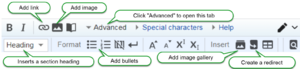 Enhanced editor advanced tab.png